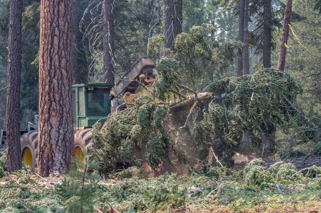 A tree skidgen hauling a cut tree away from the Bootleg Fire containment line in Bly, Oregon while firefighters struggle to control the fire in the background.