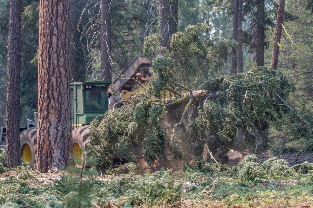 A tree skidgen hauling a cut tree away from the Bootleg Fire containment line in Bly, Oregon while firefighters struggle to control the fire in the background.