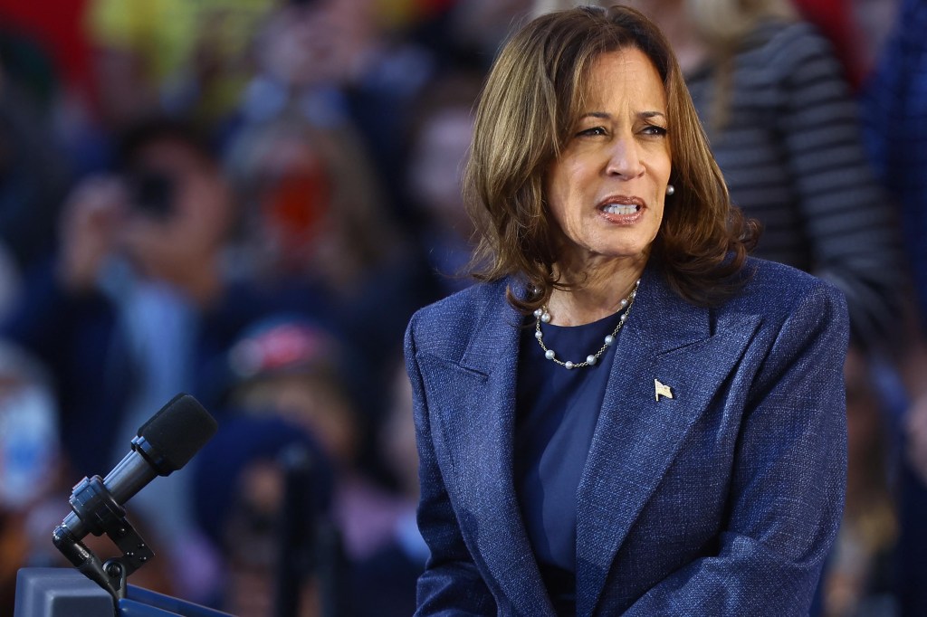 Vice President Kamala Harris, the Democratic Party nominee for President of the US, appears at a campaign event at Washington Crossing Historic Park on Wed, Oct 16, 2024.