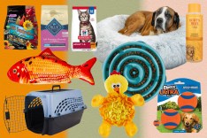 Chewy Black Friday sale 2024: Shop pet food, toys, more deals up to 50% off