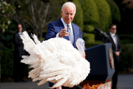 Watch Live: National Thanksgiving turkeys, Peach and Blossom, pardoned at White House