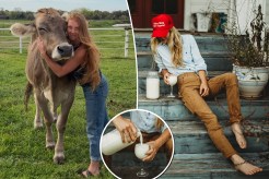 Raw milk drinker hugging a cow (left), raw milk drinker with a glass of milk and "Make Milk Raw Again" hat (right), milk being poured into a glass (inset)