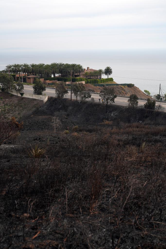 The area across from her mansion was torched by the flames.