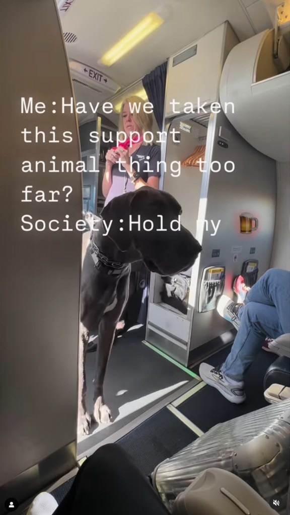 Screenshot of Great Dane boarding an aircraft as an emotional support animal goes viral on Instagram. 