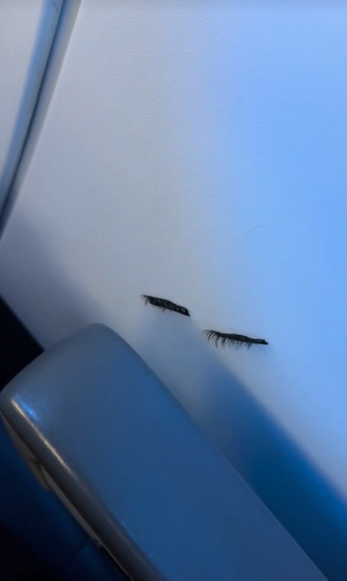 eyelash strip on wall