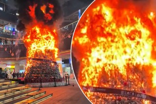 30-foot Christmas tree goes up in flames 