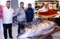 One tuna the size of a motorcycle sold to sushi restauranteurs in Tokyo for $1.3M