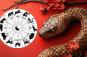 2025: How the Year of the Wood Snake will affect your zodiac sign