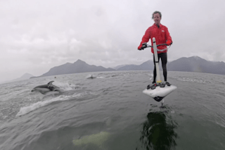 ‘Hundreds’ of dolphins swim alongside shocked hydrofoil boarders