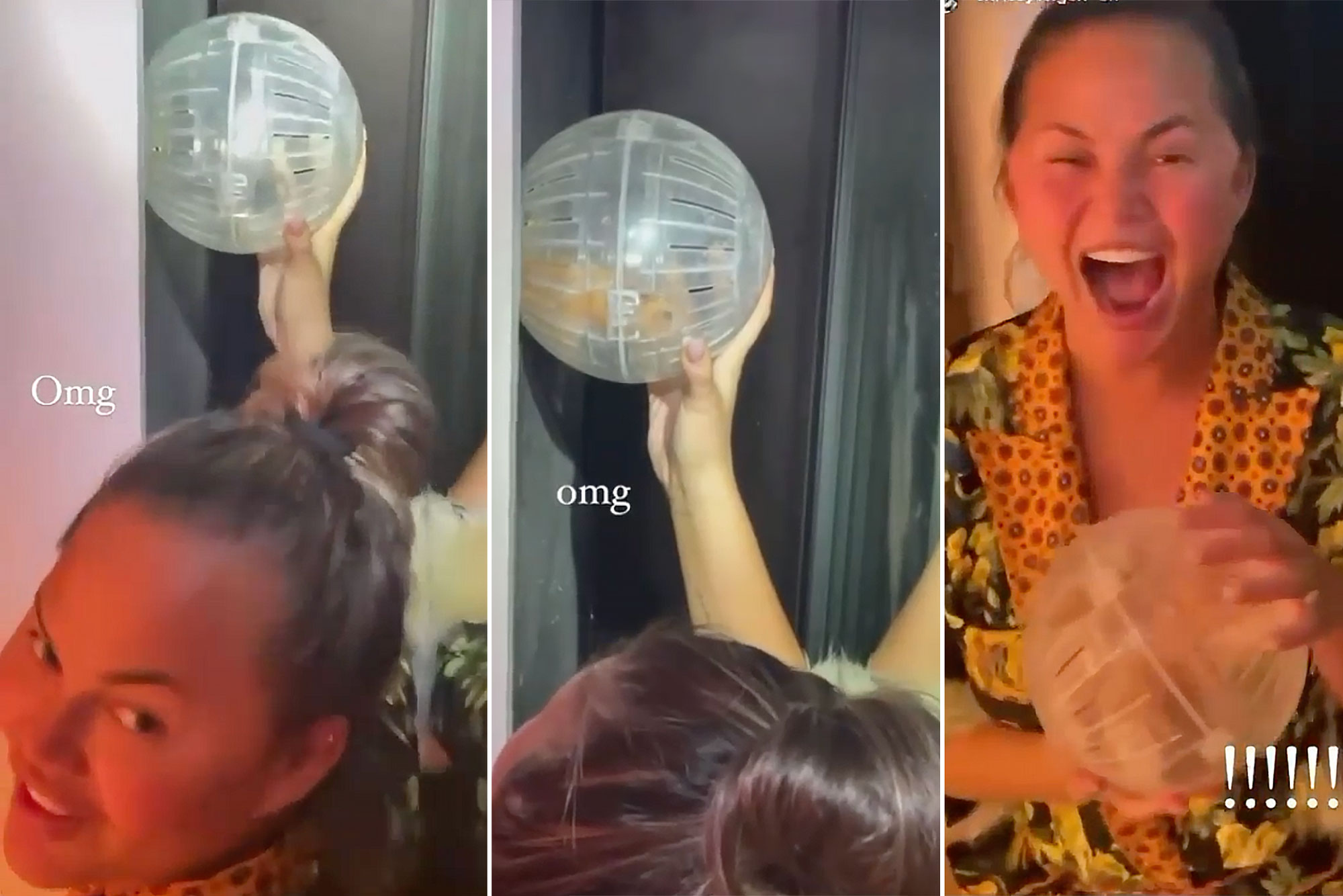 Chrissy Teigen rescuing the family's pet hamster