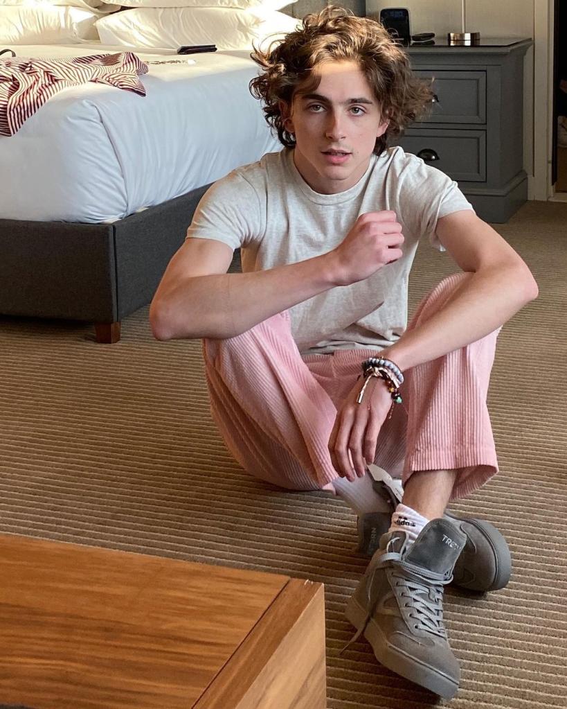 timothee chalamet poses for a photo