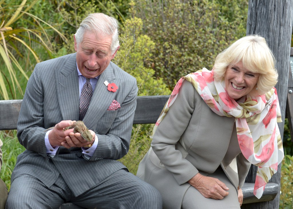 King Charles, Queen Consort Camilla 