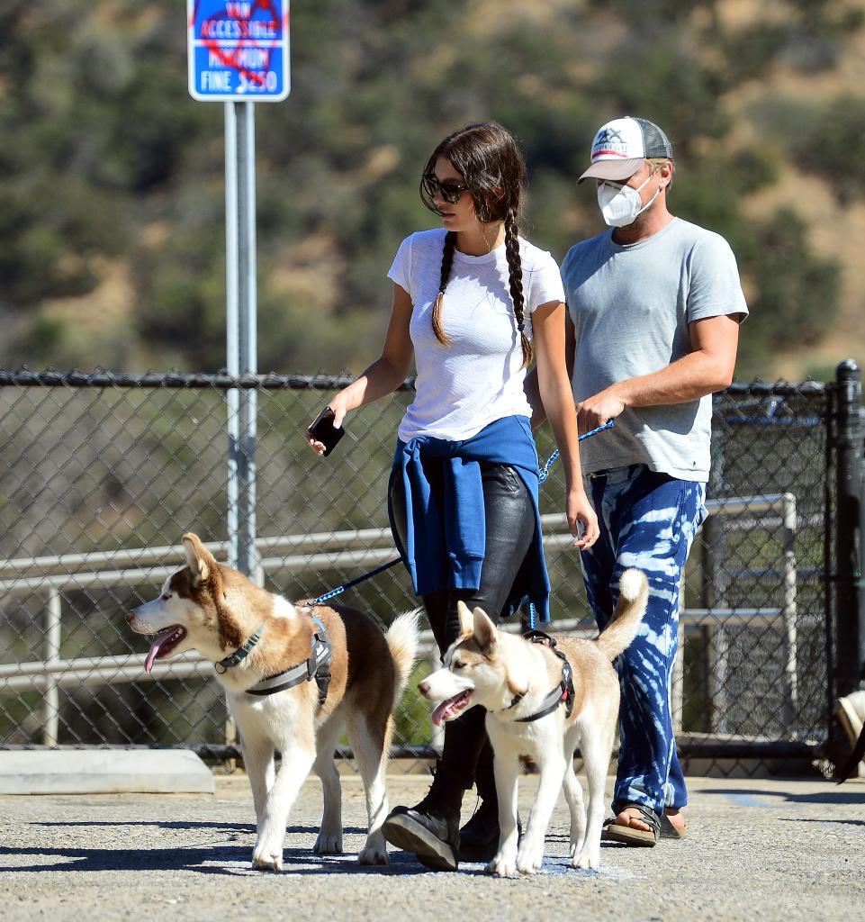 Leonardo DiCaprio and Camila Morrone walking their dogs.