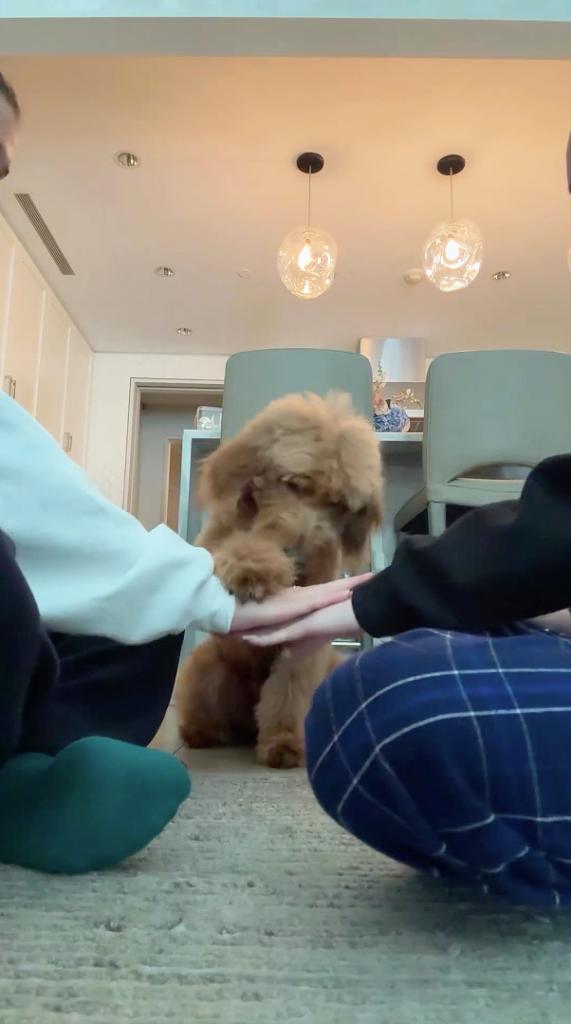 Isabella and Sophia Strahan playing with their dog.