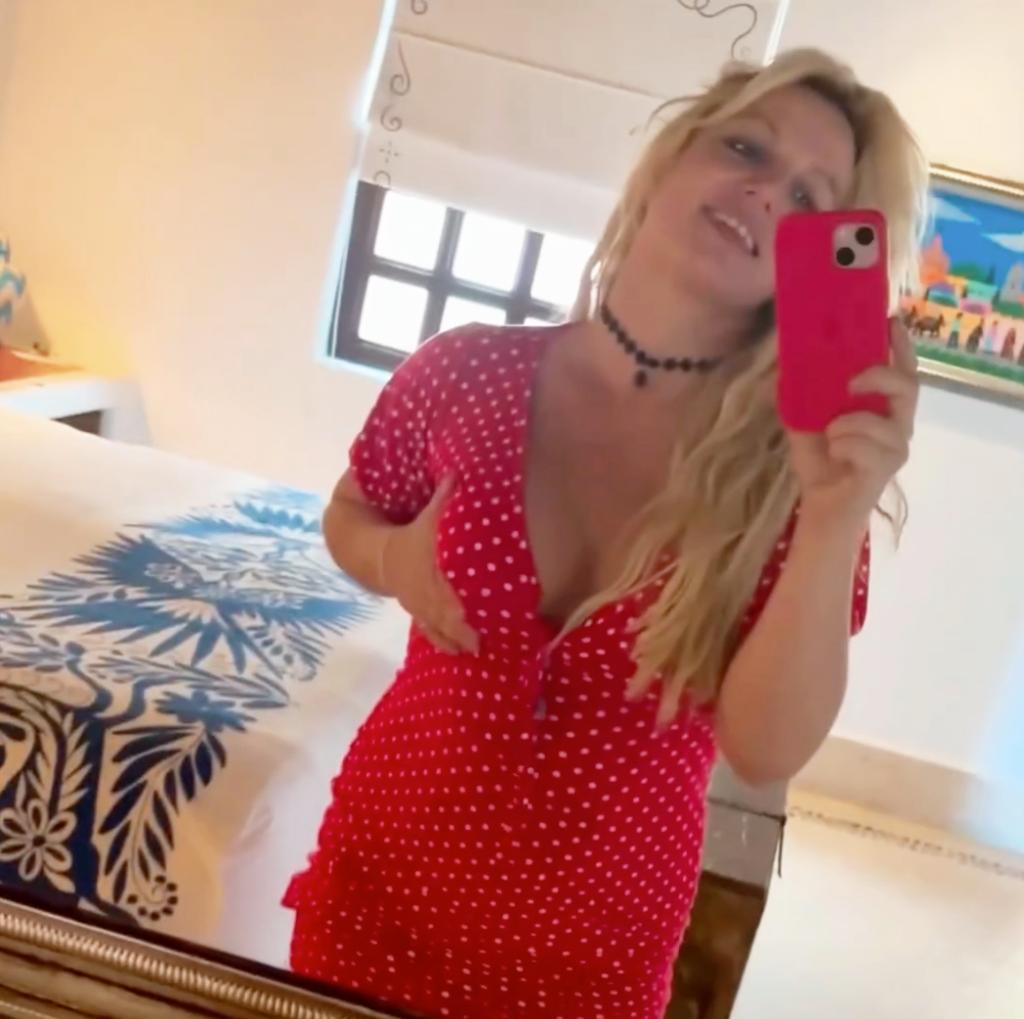 A mirror selfie of Britney Spears.