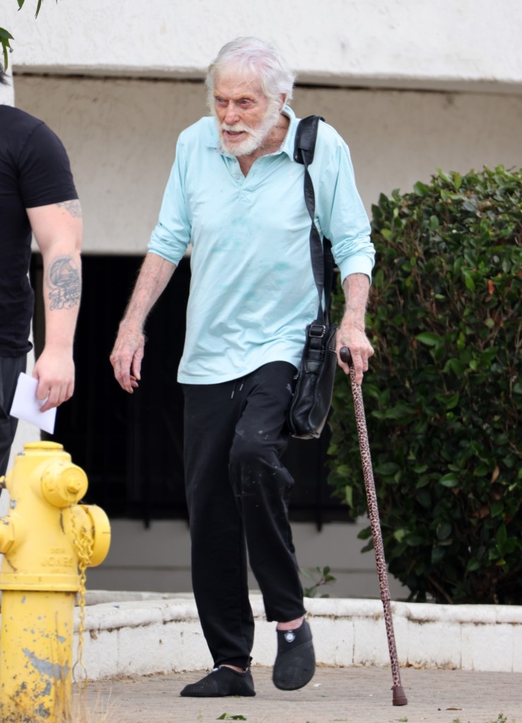 Dick Van Dyke was spotted running errands in Malibu, Calif., on Monday.