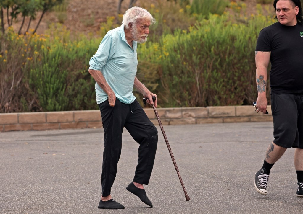 Dick Van Dyke was spotted running errands in Malibu, Calif., on Monday.