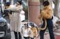 Kendall and Kylie Jenner bundle up in glamorous fur for Aspen outing