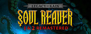 Legacy of Kain™ Soul Reaver 1&2 Remastered