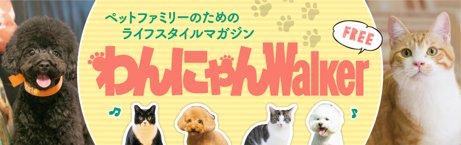 犬＆猫をもっとHappyにするフリーマガジン！わんにゃんウォーカー