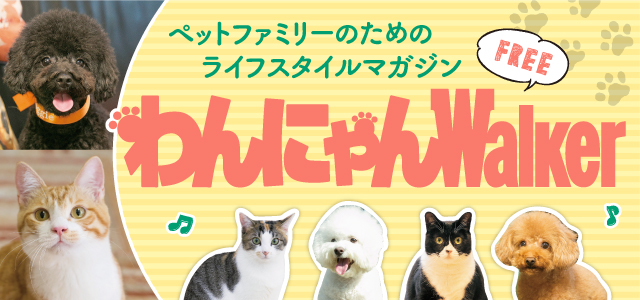 犬＆猫をもっとHappyにするフリーマガジン！わんにゃんウォーカー