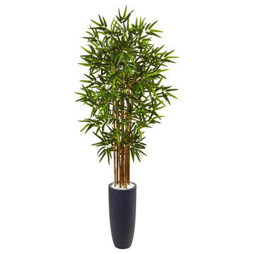 5' Bamboo Tree in Gray Cylinder Planter
