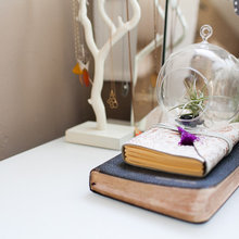 9 Ways to Grow and Display Air Plants