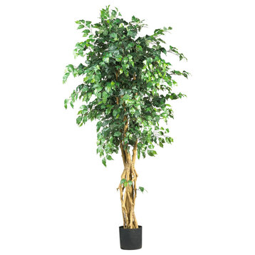 6' Palace Style Ficus Silk Tree