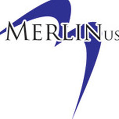 Merlinus Consulting Services