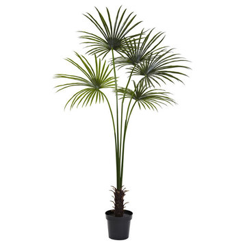 7' Fan Palm Tree UV Resistant, Indoor and Outdoor