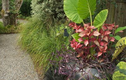 Solve Your Garden Border Dilemmas With Planted Pots