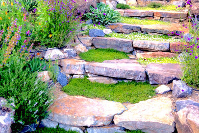 Photo of a rustic full sun stone landscaping in San Francisco.