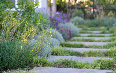 8 Drought-Sensitive Ways to Start a Garden