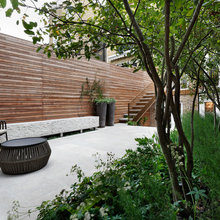 Garden Tour: Climbers, Trees and Terrace Space in a Petite London Plot