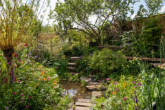 Yard of the Week: Beautiful Garden With Flood-Resistant Features