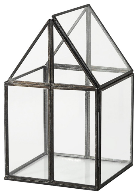 Sikes, Small, 6Lx6Wx10H Glass Terrarium