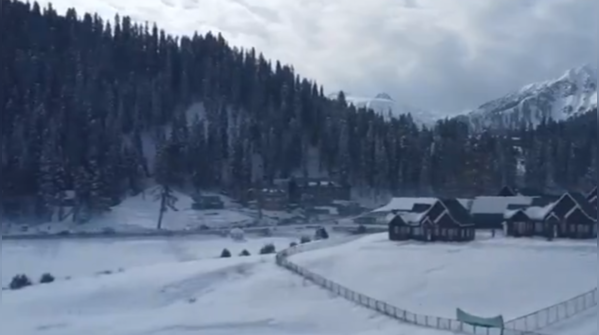 Gulmarg shines bright