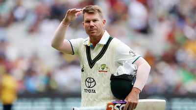 David Warner draws curtain on 12-year Test career