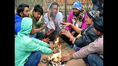 Rajasthan in grip of severe cold wave: Fatehpur records -1.7 deg C, layer of ice covers grass in Sikar