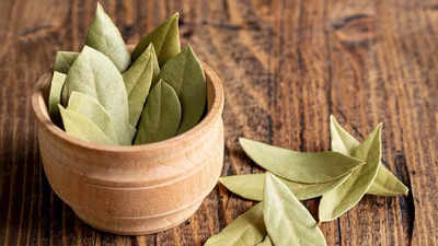 Bay Leaf Manifestation: How To Manifest With Bay Leaf?