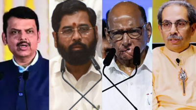 Maharashtra elections 2024: Where and how to watch election vote counting live