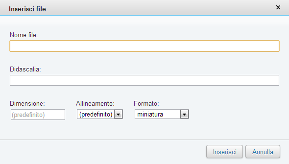 Inserisci file (popup)