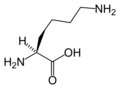 L-லைசின் (Lys / K)