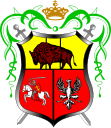 Wappen von Drohiczyn