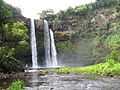 Grojogan Wailua ing Hawaii, Amérika Sarékat