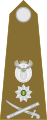 Brigadier general (South African Army)[47]