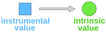 Diagram of intrinsic and instrumental values