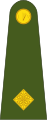 Second-lieutenant (Irish: Dara-lefteanant) (Irish Army)[27]