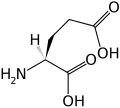 L-Glutaminsyre (Glu / E)