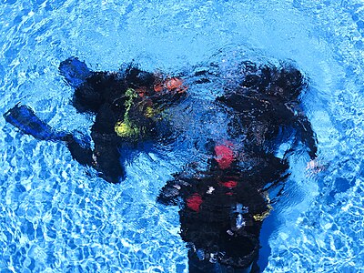 Divers in a Pool